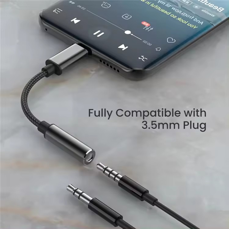 Type C to Aux Connector