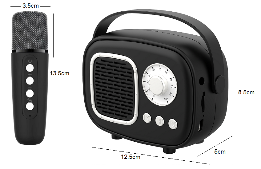 Wireless Speaker with Microphone
