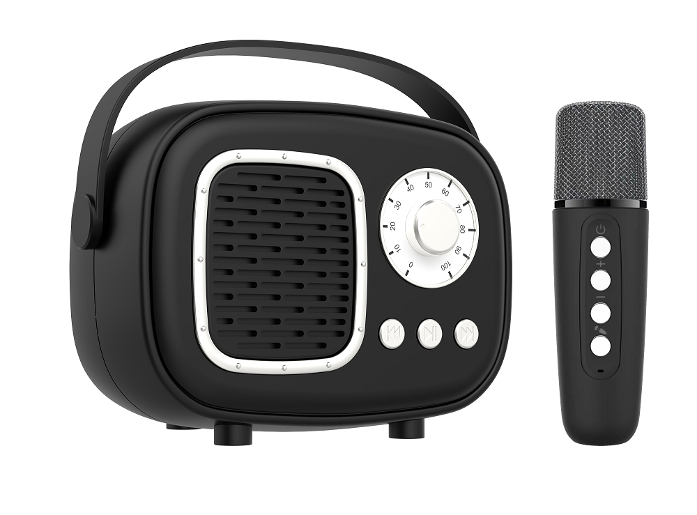 Wireless Speaker with Microphone