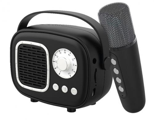 Wireless Speaker with Microphone